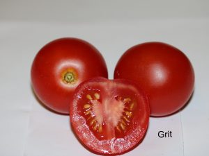 Grit