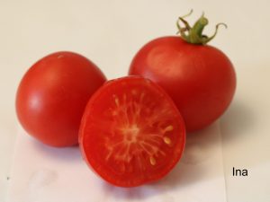 Ina