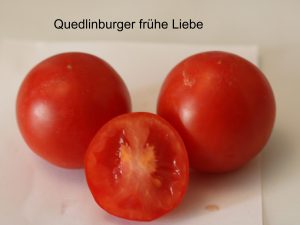 Quedlinburger frühe Liebe