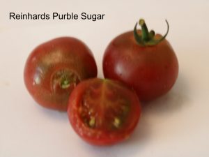 Reinhard`s Purple Sugar